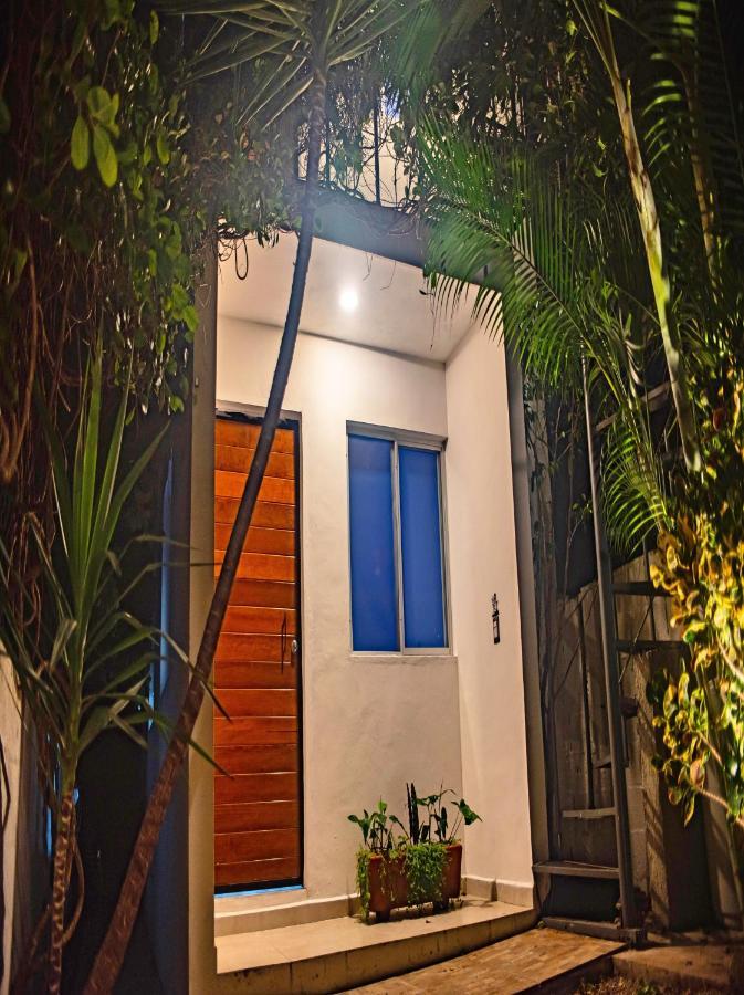 메리다 Departamentos Internazionale 아파트 외부 사진